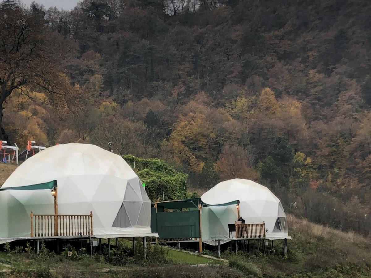 Hotel Dengekoru Wildlife & Glamping Mudurnu Exterior foto